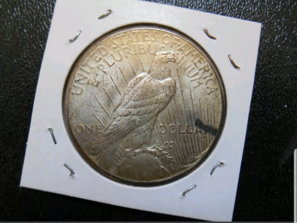 Carbon-Black-Marks-Effect-On-Grading-Peace-Dollar